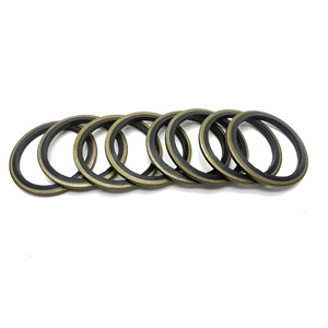 Joint d'étanchéité trapézoïdal haute pression pour pompe Kairuite - Product Image 3