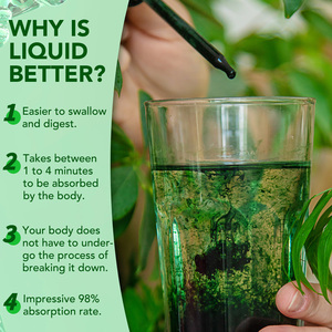 Acentiallabs Organik Cairan Klorofil Detoksifikasi Pembersih Tetes Cair Penurun Berat Badan Grosir Cairan Klorofil - Product Image 5