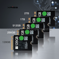 XRISS 2230 Ssd 1TB, Solid State Drive Internal Nvme 2230 1tb Nvme M.2 untuk Laptop Microsoft