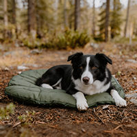Sacs de couchage pour chiens avec logo personnalisé, sacs de couchage pour chiens pour le camping en plein air, sacs de couchage pour animaux de compagnie fins rembourrés de duvet avec fermeture éclair