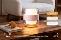 Lampe de travail multifonctionnelle 2000mAh, lanterne d'urgence, lampe de camping portable rechargeable, lampe de table LED ambiante