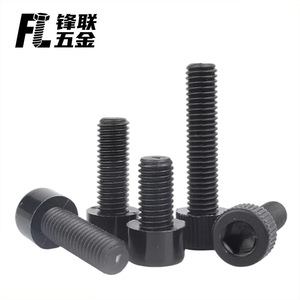 Tornillos de Cabeza Cilíndrica de Nylon Fenglian M3 M4 M5 M6 M12 DIN912 Grado A, Resistentes a Químicos, con Cabeza Hexagonal Moleteada - Product Image 2