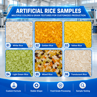 Ligne de transformation alimentaire du riz nutritionnel, extrudeuse à double vis pour la production d'équipements de riz instantané artificiellement enrichi