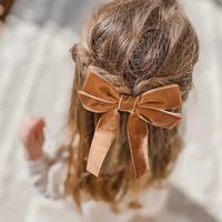 Huyo Horquillas de Terciopelo Vintage con Lazo Largo y Mariposa, Pinza de Pelo Sencilla y Elegante para Mujer, Pasadores para el Cabello, Horquillas para Boda
