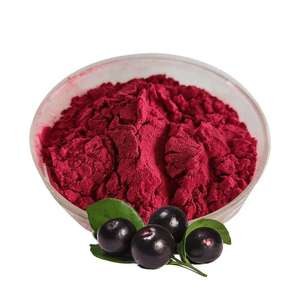 Poudre <span class=keywords><strong>d</strong></span>'extrait de baies <span class=keywords><strong>d</strong></span>'açaï biologique naturelle - Product Image 1