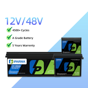 IPARWA Lithium Ion Battery Bms for Batteries Car Pack - Product Image 1
