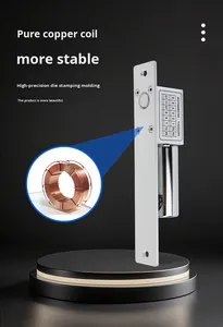 <span class=keywords><strong>2</strong></span> Lijnen Hypothermie Elektrische Insteekslot Deur Toegangscontrole Systeem Elektrische Bout <span class=keywords><strong>Lock</strong></span> - Product Image 4