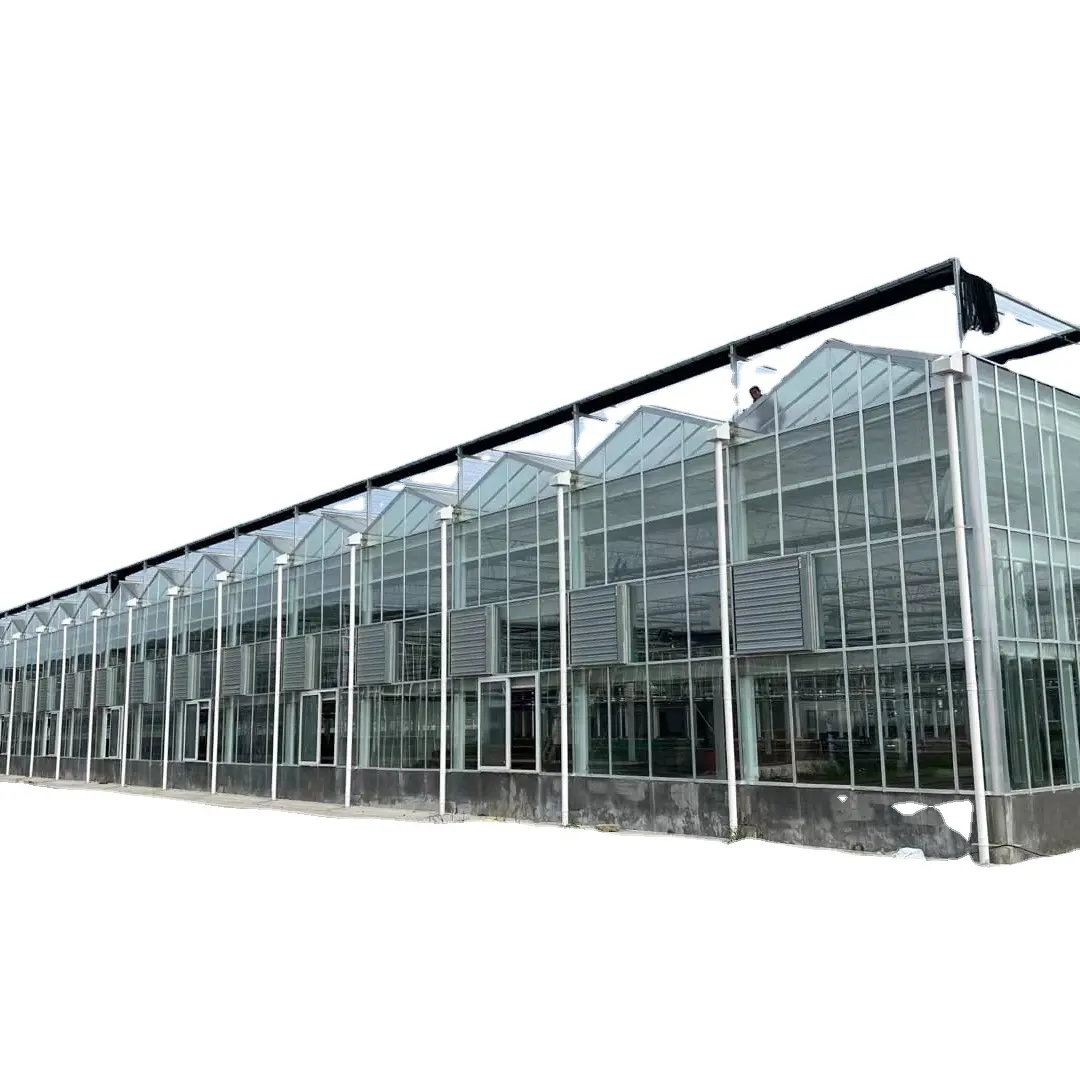 Fournisseur de serres agricoles en verre/polycarbonate/film de la Chine