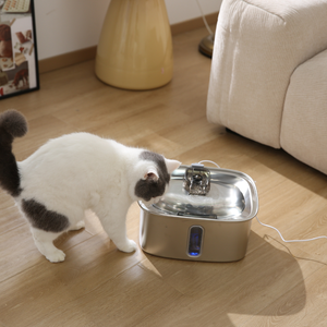 Bebedero de Agua Cuadrado de Acero Inoxidable <span class=keywords><strong>para</strong></span> Perros y <span class=keywords><strong>Gatos</strong></span> Grandes, Dispensador Automático de Agua <span class=keywords><strong>para</strong></span> Mascotas de 9L, Recipiente Interior con Indicador de Nivel de Agua - Product Image 6