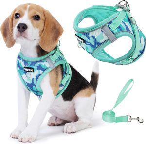 Harnais pour chien Step In avec ensemble de laisse, maille rembourrée et respirante réglable pour chien de petite taille, réfléchissant sans traction - Product Image 1