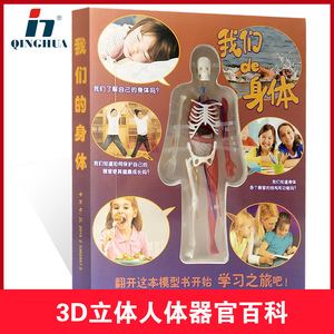 Jouets d'organes humains : Explorez l'Encyclopédie du Corps Humain – Livre sur la Structure Squelettique, Modèle de Corps Entier, Squelette et Organes Internes - Product Image 5