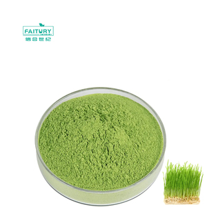 Pabrik grosir bubuk WheatGrass mentah bubuk jus rumput gandum organik hijau alami - Product Image 2