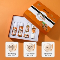Ensembles de Soins Anti-Âge au Curcuma Biologique Formule Coréenne Marque Blanche pour la Beauté Herbale