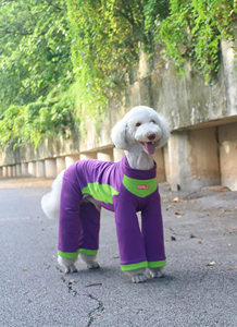 Combinaison en maille à quatre pattes pour chien, rafraîchissante et anti-poussière, pour l'extérieur, pour Golden Retriever, Samoyed, Malamute, Caniche géant, Violet - Product Image 3