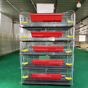Cage <span class=keywords><strong>de</strong></span> <span class=keywords><strong>caille</strong></span> Offre Spéciale pour oeufs fécondés mâles et femelles cage <span class=keywords><strong>de</strong></span> <span class=keywords><strong>caille</strong></span> commerciale pour cailles jumbo - Product Image 3