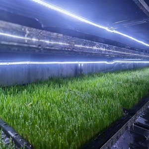 Containerized Irrigation System Blue Steel Aquaponic Hydroponics Farming Equipment With Pump Easy To Operate - Product Image 2