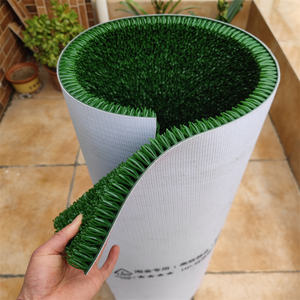 Tapis dragon pour arroser les tapis, idéal pour l'été - Product Image 2