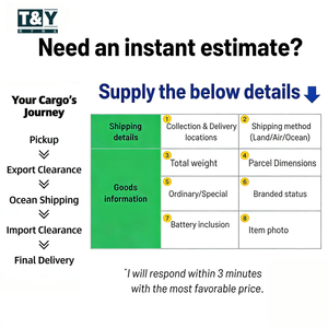 บริการจัดส่งด่วนไปยังอิสราเอลและจอร์แดน พร้อมบริการขนส่งสินค้าทางอากาศระหว่างประเทศแบบรวดเร็ว DDP - Product Image 4