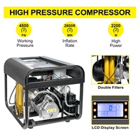 TUXING High Pressure Auto Stop Electric 4500psi 300bar Fan Cooling Tire Inflation LCD Screen Double-cylinder PCP Air Compressor