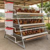 Cage à poules pondeuses de type A HK, 4 niveaux, 4 portes, pour poulaillers et fermes avicoles