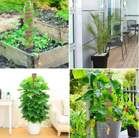Nouvelles pailles de coco détachables de style américain, robustes, personnalisables et écologiques, pour le soutien des plantes à la maison - Vente en gros printemps