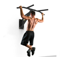 Rak Pull-Up Dip Push-Up Wellshow dengan Desain Terpisah yang Dipasang di Dinding, Peralatan Fitness