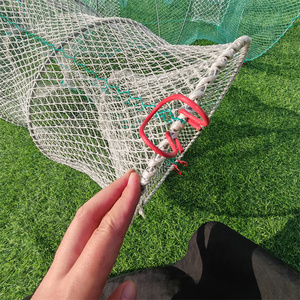 Crevettes Homard Cage Piège Anneau Rond Filet De Pêche Durable PP PE Nylon Acier Acier Inoxydable Cadre <span class=keywords><strong>Crevette</strong></span> Anguille Poisson Autre Vie Marine - Product Image 6