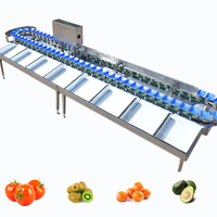 Transportbandtype gewichtssorteermachine met display voor het sorteren van tomaten & fruit en groenten, controleweegschaal, OEM ODM ondersteund