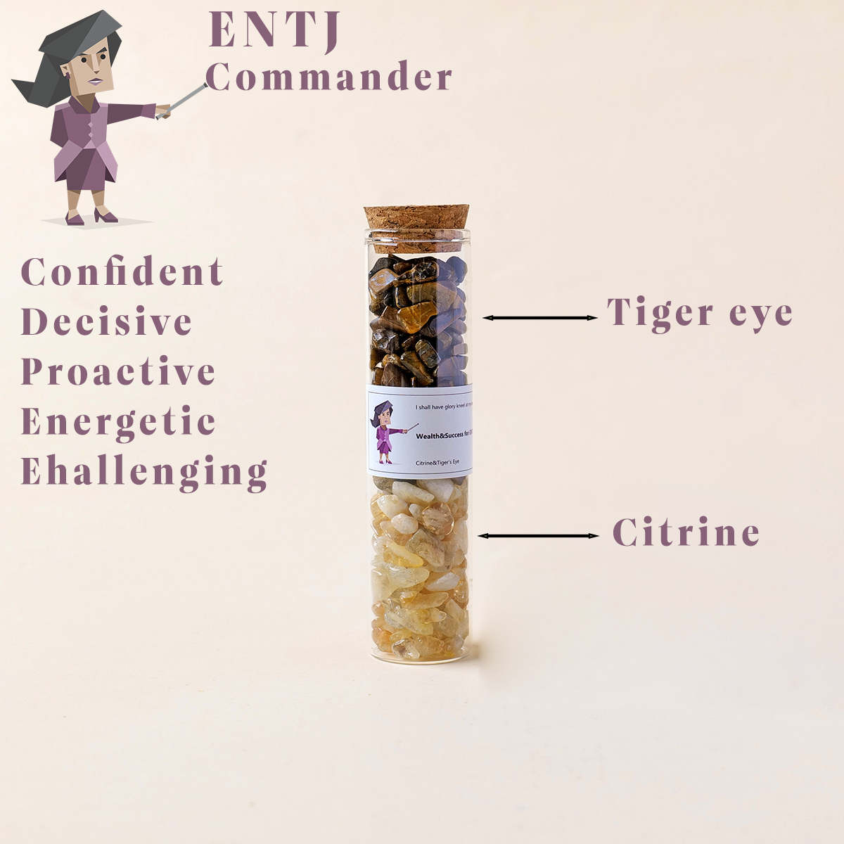 ENTJ Commander