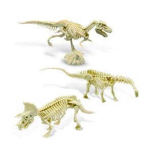 Kit de excavación de calavera de dinosaurio 6 Kit de excavación surtido Juguete - Product Image 6