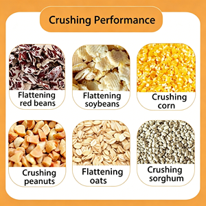 Mesin Perata Biji-bijian Multifungsi untuk Penggunaan Pertanian, Penghancur Oat, <span class=keywords><strong>Jagung</strong></span>, Kedelai untuk Produksi Pakan Ternak - Product Image 4