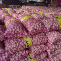 Nouveau 2025 Ail 5.5cm Taille 20ft Conteneur 10kg Carton Boîte Ail Blanc Emballé pour L'exportation