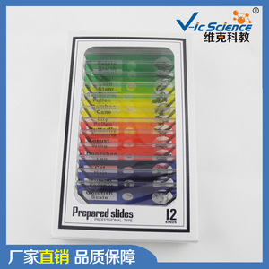 Lames microscopiques, lames en plastique, kits de séries mixtes, lames microscopiques pour les écoles primaires et secondaires, pour enfants - Product Image 3