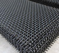 Grille perforée en fil de fer galvanisé à trous carrés, tamis soudé pour filtre vibrant, utilisation minière