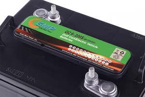 Lead Acid <b>Battery</b> Pack for Golf Car 6V200AH GC6-200S Home Appliances & Toys - Product Image 2
