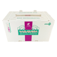 Boîte en plastique ondulé Coroplast PP empilable, imperméable, réutilisable et recyclable pour l'emballage de légumes surgelés (brocoli) Yuexin