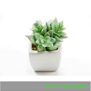 Everong mini cactus artificiel plante succulente en <span class=keywords><strong>pot</strong></span> pour la décoration de la maison hôtel - Product Image 2