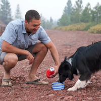 Top vente de qualité alimentaire pliable voyage bol d'eau pour animaux de compagnie pliable Silicone chien bol d'alimentation pour Camping en plein air randonnée