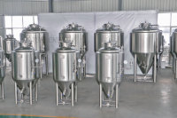 Fermenteur conique pour bière artisanale Tonsen 300L 400L 500L, réservoir de fermentation pour brasserie, fermenteur industriel à vendre