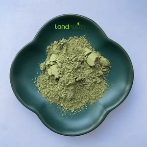 ケルセチン自然発生フラボノイド99% ケルセチンメレチンソフレチン卸売供給 - Product Image 1