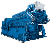 Groupes électrogènes à gaz MWM TCG 2032 V16 de 4,3 MW