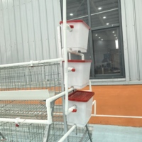 Cages à poules pondeuses 4 niveaux pour 20000 oiseaux, système batterie, pour l'élevage industriel de volailles, type A, conception WIN, direct usine