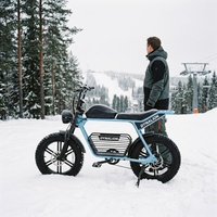 Vélo électrique résistant au froid avec batterie amovible dissimulée, pédalage fiable en hiver pour les trajets de courte distance en station de ski