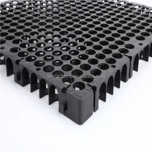 Celda de drenaje <span class=keywords><strong>SDM</strong></span> Productos de drenaje geo-compuestos Celda de drenaje de 30mm - Product Image 1