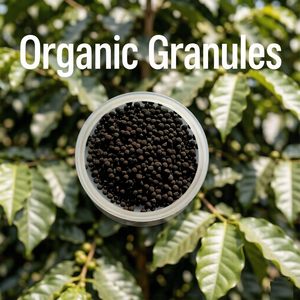 Conditionneur de sol contenant de l'acide humique, des acides aminés, des algues marines, du soufre et des oligo-éléments pour les arbres à café - Product Image 2