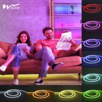 Bande lumineuse LED néon 110V-220V AC, flexible, IP65, RGB, certifiée RoHS, contrôle automatique, 5m, utilisation intérieure/extérieure