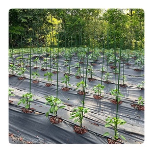 Estacas de Fibra de Vidrio para Plantas/Agricultura, Estacas para Tomates, Estacas de Soporte para Plantas, Estacas de Jardín - Product Image 5