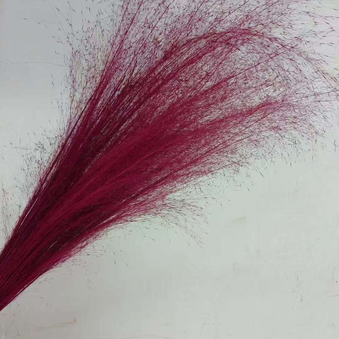 rose red