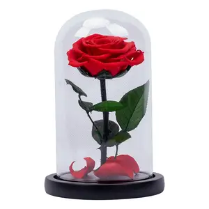 2021 New Arrival Fashion Attractive Design Preserved Roses In Glass Dome For Valentine's Day