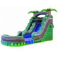 Toboggan aquatique commercial personnalisé en usine toboggan gonflable bon marché de taille de fête avec piscine pour adulte